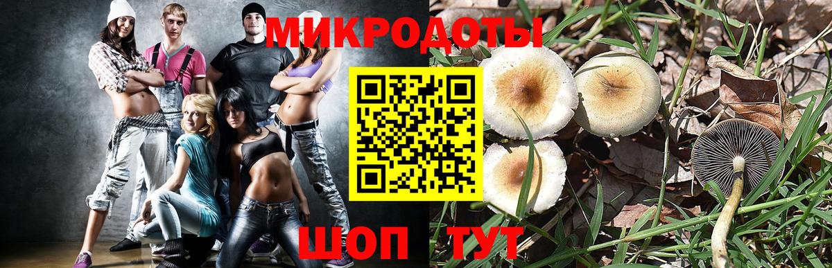 Владикавказ  Псилоцибиновые грибы Psilocybe  Галлюциногенные грибы GOLDEN TEACHER  Вход с VPN 