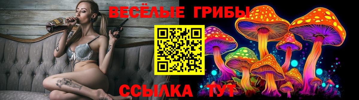 Псилоцибиновые грибы Psilocybine cubensis Владикавказ