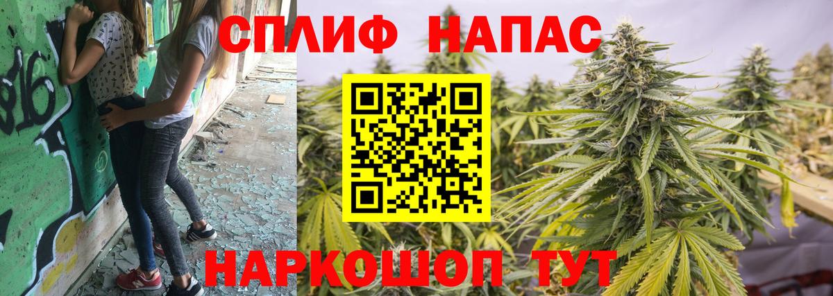 Канабис план Владикавказ